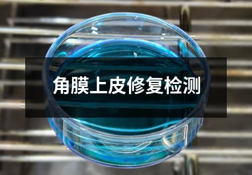 角膜上皮修复检测