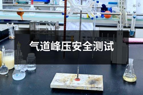 气道峰压安全测试
