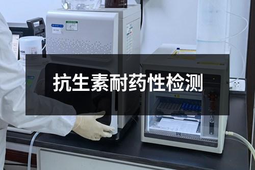 抗生素耐药性检测