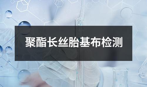 聚酯长丝胎基布检测