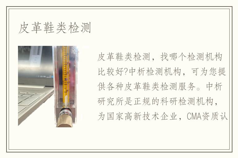 皮革鞋类检测