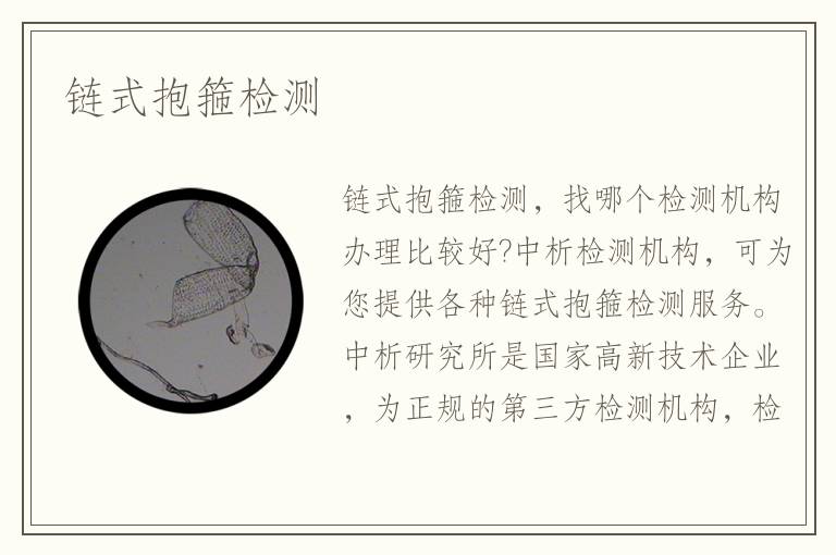 链式抱箍检测