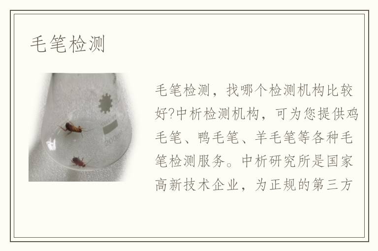 毛笔检测