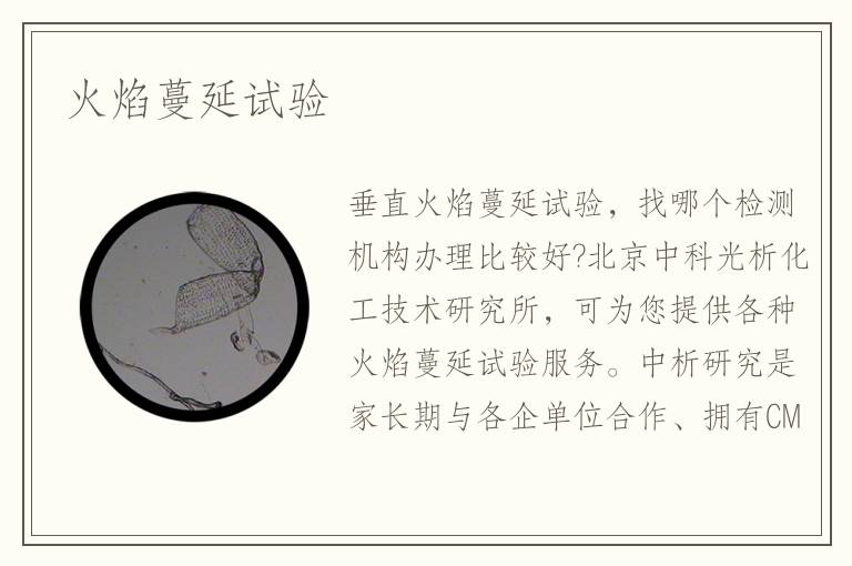 火焰蔓延试验