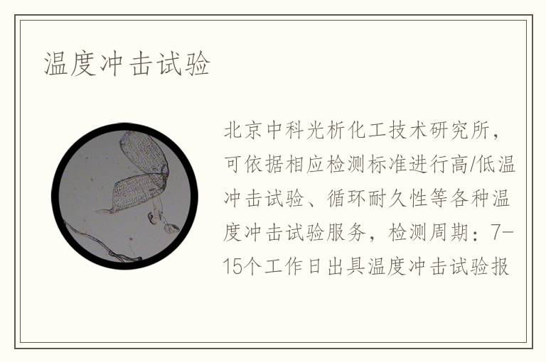 温度冲击试验