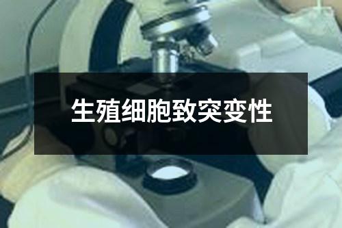 生殖细胞致突变性检测 生殖细胞致突变性检测