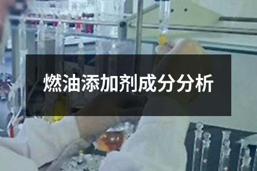 燃油添加剂成分分析 燃油添加剂成分分析