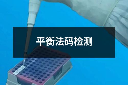 平衡法码检测 平衡法码检测