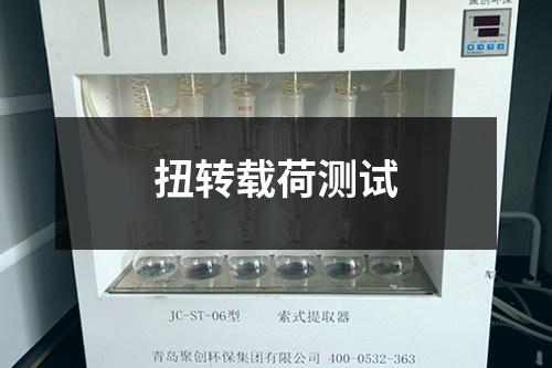 扭转载荷测试 扭转载荷测试