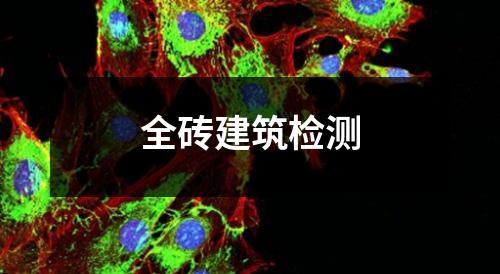 全砖建筑检测