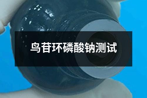 鸟苷环磷酸钠测试 鸟苷环磷酸钠测试