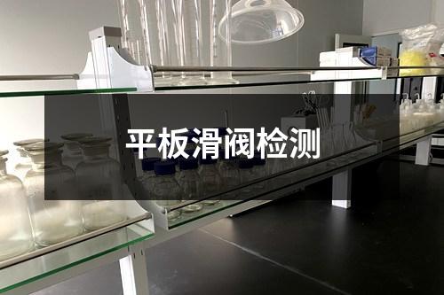 平板滑阀检测