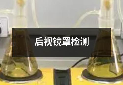 后视镜罩检测 后视镜罩检测