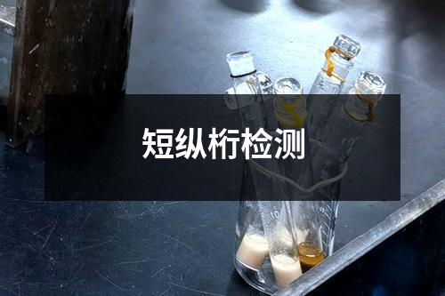 短纵桁检测 短纵桁检测