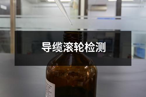 导缆滚轮检测