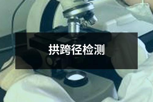 拱跨径检测 拱跨径检测