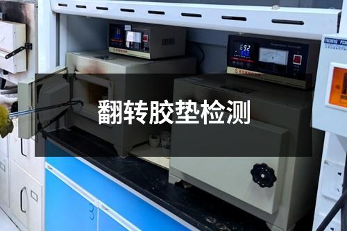 翻转胶垫检测 翻转胶垫检测