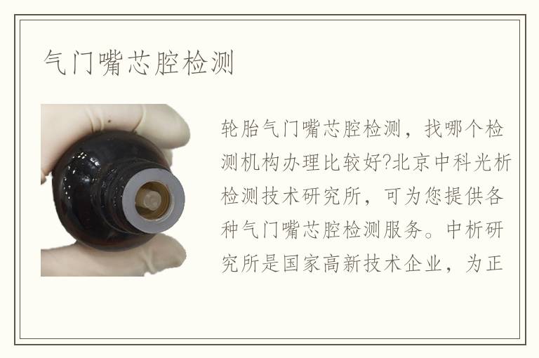 气门嘴芯腔检测 气门嘴芯腔检测